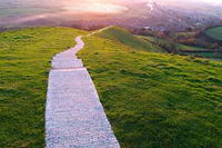 Life path numerology